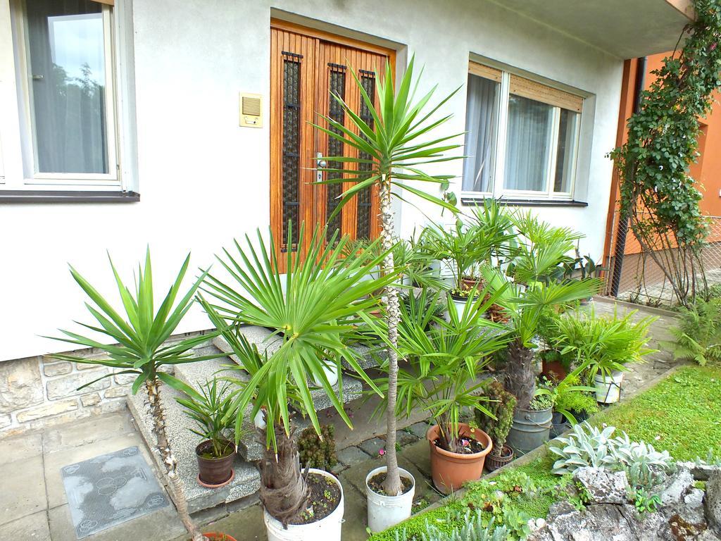 Biba Rooms Karlovac Exterior foto
